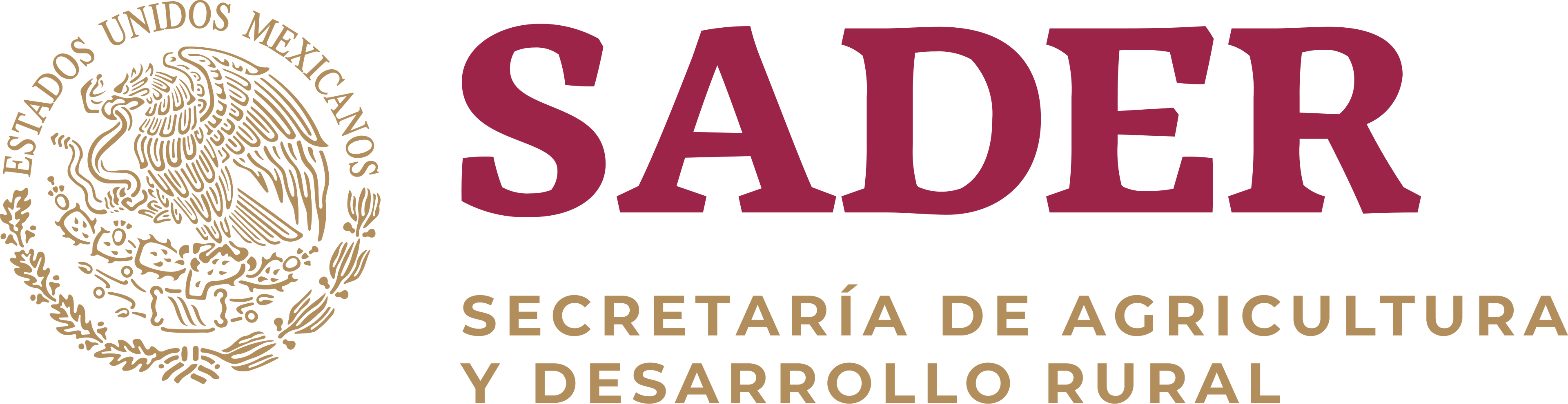 Brnad Logo